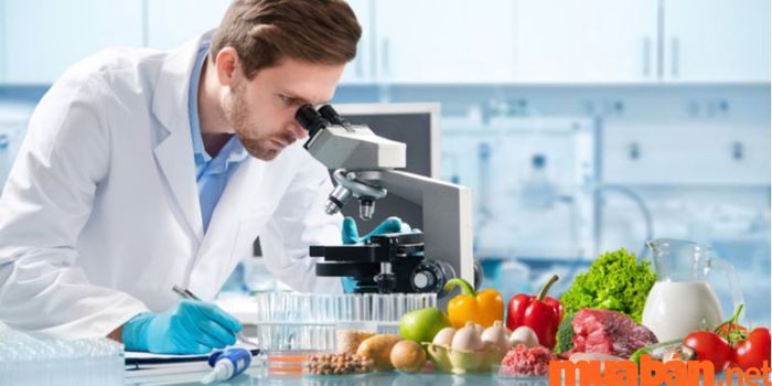 Ngành công nghệ thực phẩm nên học ở đâu?