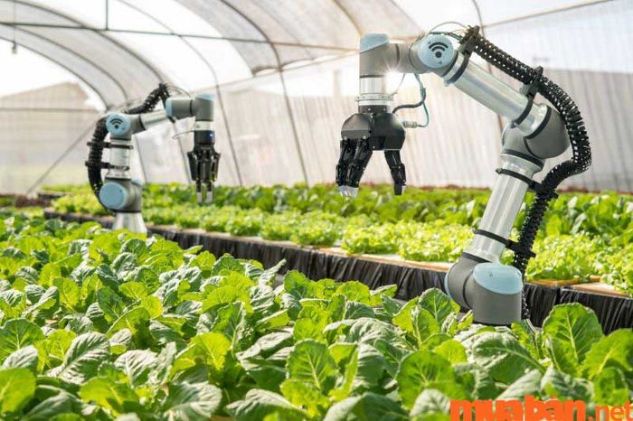 Ngành công nghệ thực phẩm học ở đâu?