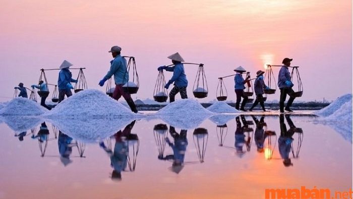 Diêm nghiệp là ngành sản xuất muối, bao gồm các quy trình thu hoạch muối từ nước biển và chế biến muối để tiêu thụ hoặc xuất khẩu.