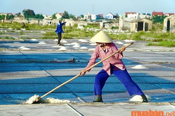 Diêm nghiệp là nghề sản xuất muối từ nước biển, bao gồm các công đoạn như thu hoạch, chế biến và bảo quản muối để tiêu thụ hoặc xuất khẩu.
