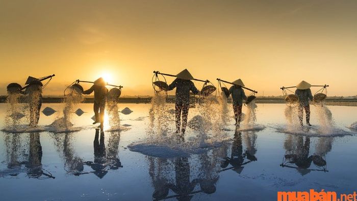 Diêm nghiệp là gì?