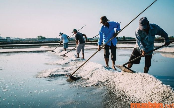 Diêm nghiệp là công việc thu hoạch muối từ biển, qua các giai đoạn từ thu nước biển đến tinh chế muối thành phẩm.