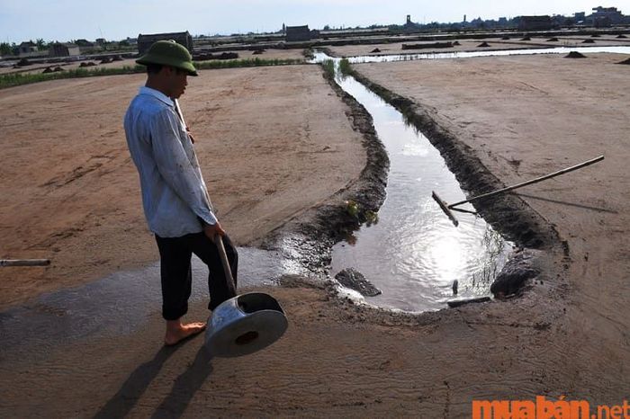 Diêm nghiệp là ngành khai thác muối từ nước biển, có vai trò quan trọng trong sản xuất nông sản.