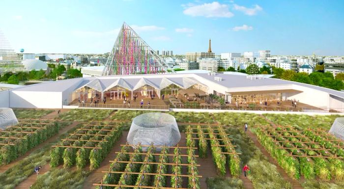 Scheduled to open in 2020, the rooftop urban farm is expected to yield 1,000 fruits and vegetables daily and cultivate 30 different plant varieties.