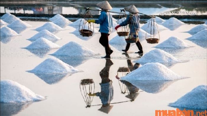 Diêm nghiệp là nghề sản xuất muối truyền thống gắn liền với biển cả.