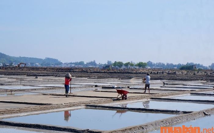 Diêm nghiệp là nghề khai thác và chế biến muối từ biển, là một phần quan trọng trong ngành nông nghiệp truyền thống.