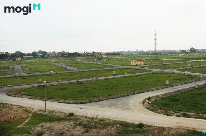mua đất quy hoạch