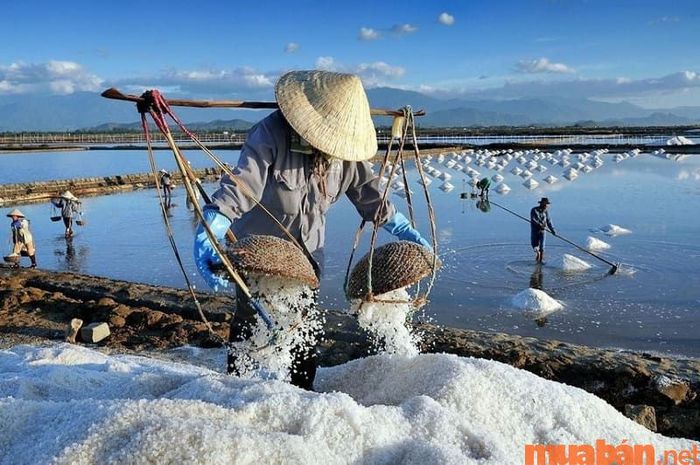 Diêm nghiệp là ngành nghề khai thác và sản xuất muối từ biển cả.
