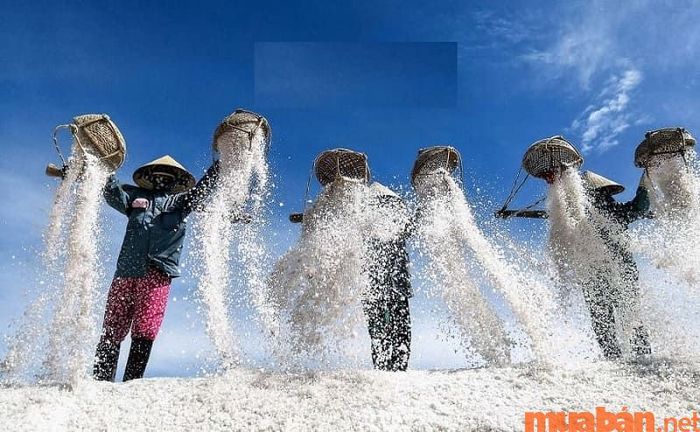 Diêm nghiệp là nghề liên quan đến sản xuất muối, đòi hỏi người lao động phải có sức khỏe và kỹ năng làm việc cụ thể.