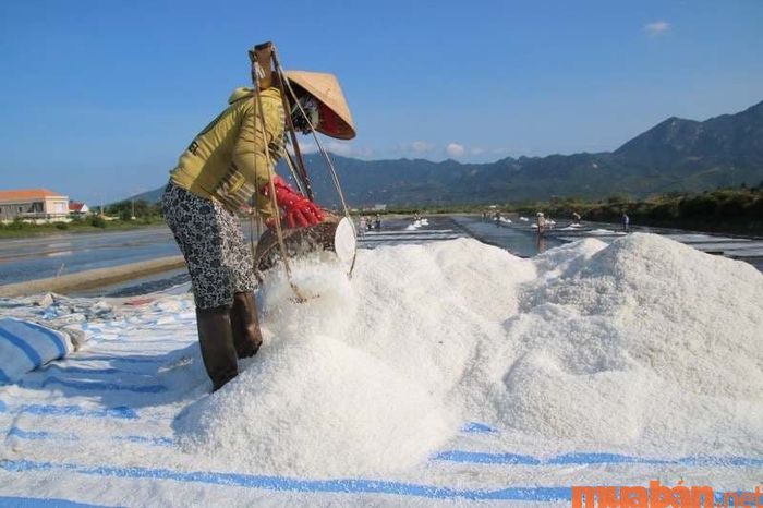 Diêm nghiệp là nghề sản xuất muối, đòi hỏi những kỹ năng và công sức đặc thù để chế biến và thu hoạch muối từ nước biển.