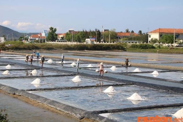 Diêm nghiệp là nghề sản xuất muối từ biển, gắn liền với những người dân làm muối, hay còn gọi là Diêm dân.