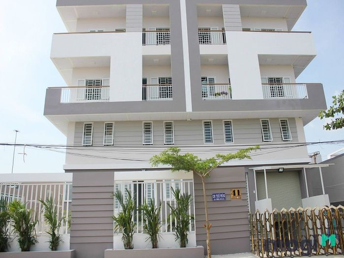 Không gian sống thoải mái khi ở chung với chủ