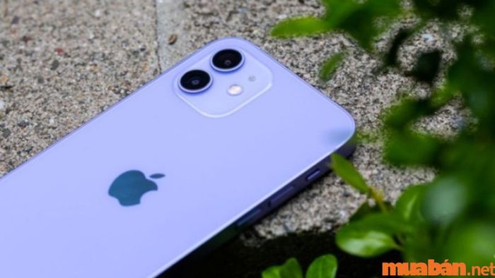 Camera chất lượng cao