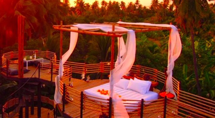 Bangkok Treehouse offers a ‘View with a Room’ experience.