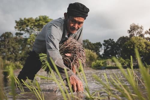 ngành nghề tạo phúc đức