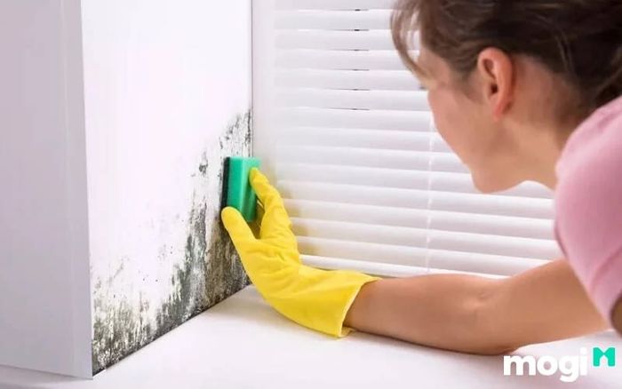 Loại bỏ vết bẩn và mảng bám trên tường với baking soda