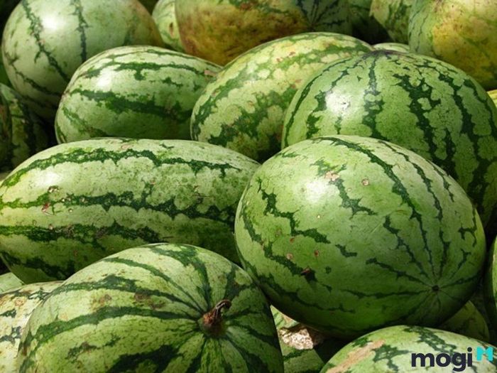 Để chọn dưa hấu ngon, bạn nên chú ý đến cân nặng của quả.