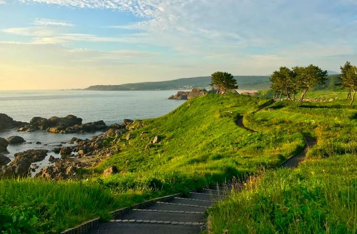 In the northern part of the trail, the Tanesashi coastline is a hiker's dream, with wide, flat sections winding through expansive grassy meadows, says Lewis.