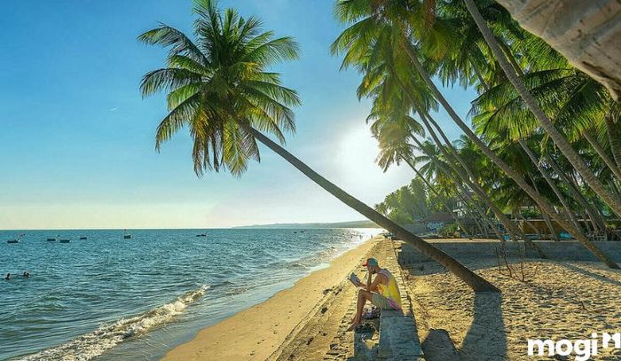 Bãi Rạng Mũi Né - Điểm Đến Tuyệt Vời