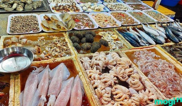 Hải sản tươi ngon là một trong những đặc sản bạn không thể bỏ qua khi đến đây.