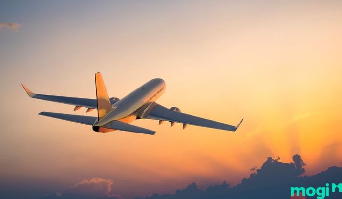 Đi máy bay và sau đó di chuyển bằng ô tô đến Bãi Rạng Mũi Né