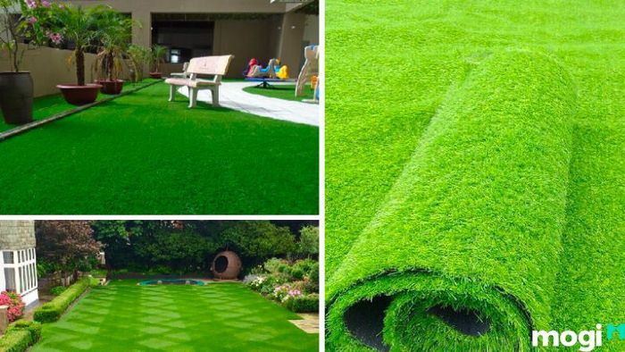 Trồng cỏ sân vườn mang lại không gian xanh mát cho ngôi nhà