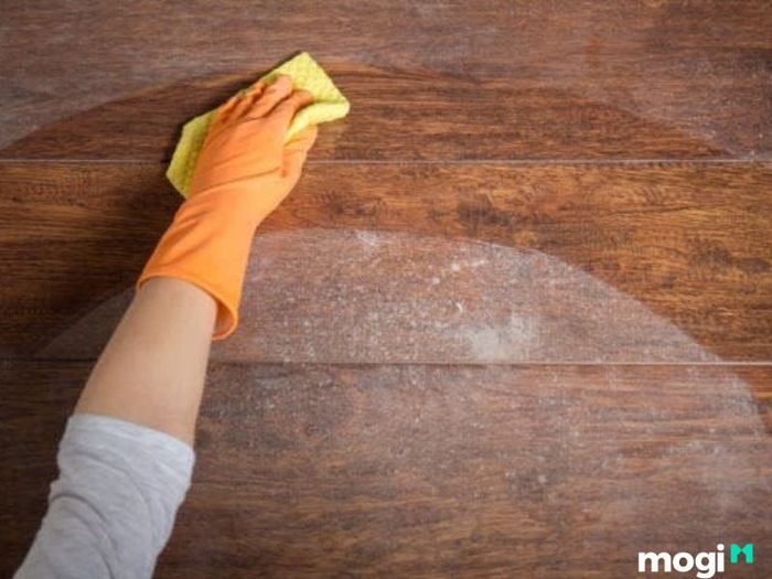 Tìm hiểu nguyên nhân gây mốc cho gỗ