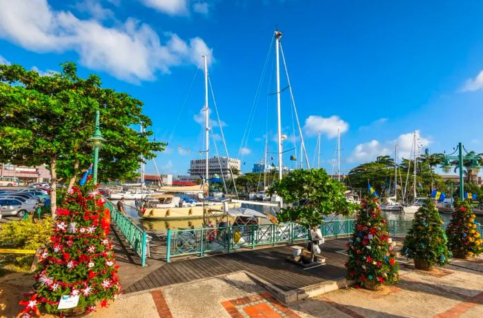 Celebrate Christmas island-style on the sun-soaked shores of Barbados.