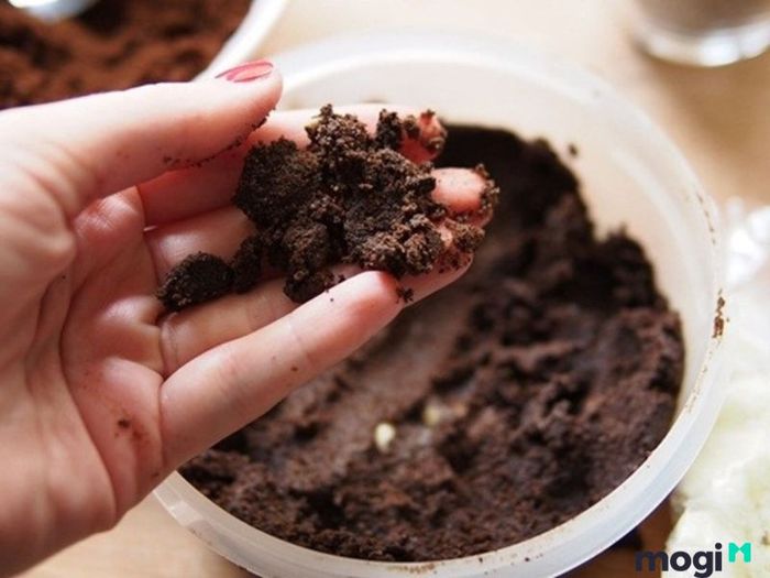 Sử Dụng Bã Trà, Bã Cà Phê Để Xử Lý Gỗ Bị Mốc