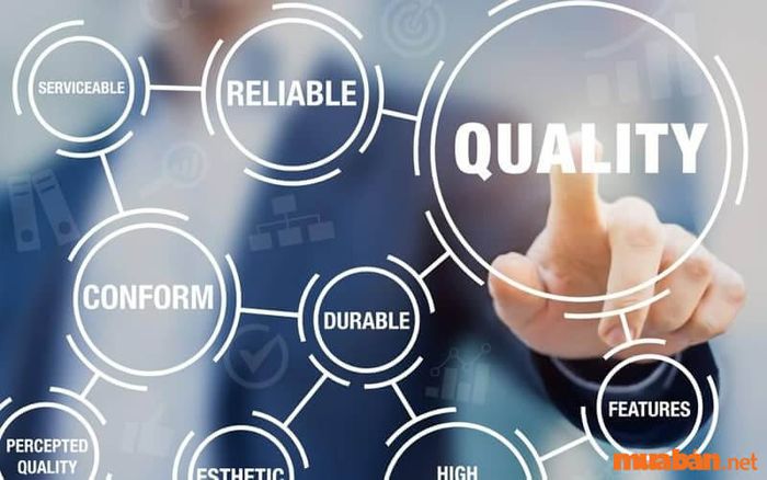 Bảo trợ truyền thông là gì? Các yếu tố cần thiết để xây dựng nội dung chất lượng