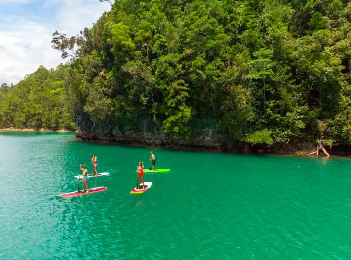 Standup paddleboarding is also a favorite activity for visitors at the lagoon.