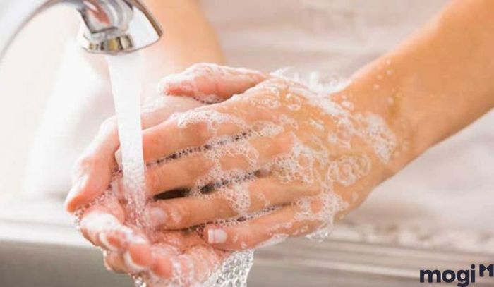 Việc duy trì vệ sinh sạch sẽ là rất quan trọng