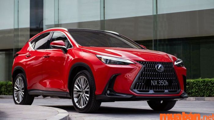 Lexus NX – sự lựa chọn sang trọng cho dòng xe 5 chỗ gầm cao