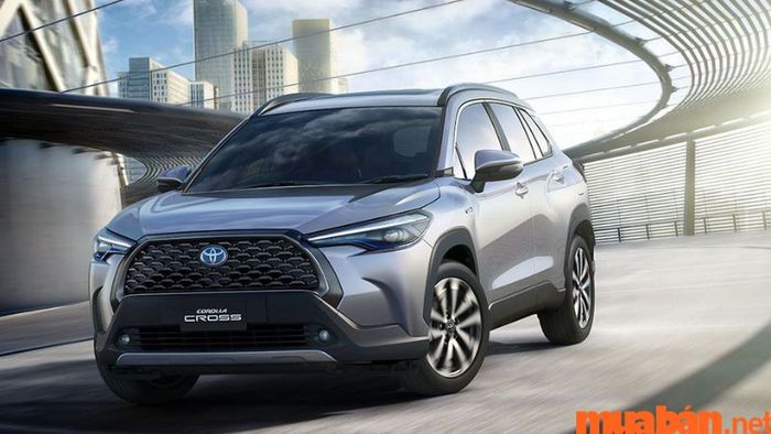 Xe 5 chỗ gầm cao – Toyota Corolla Cross