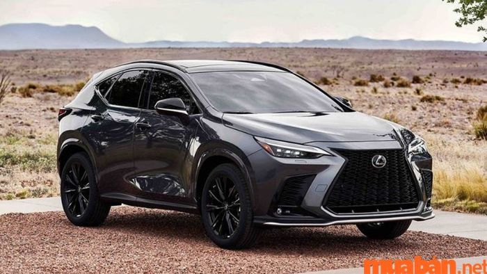 Lexus NX – mẫu xe 5 chỗ gầm cao hạng sang đẳng cấp