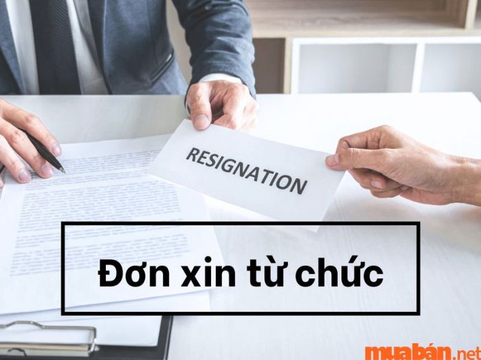 Gửi đơn ngay sau khi đã đưa ra quyết định