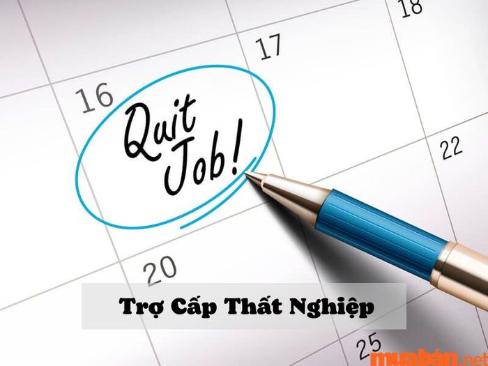 Người lao động có quyền nhận trợ cấp thất nghiệp khi đáp ứng đủ các điều kiện quy định.