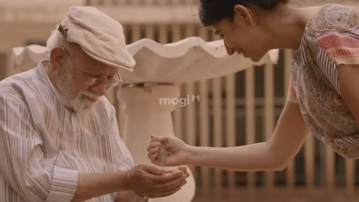 Ý nghĩa màu 13-1023 Peach Fuzz – Lòng nhân ái và lời nhắc nhở về việc 