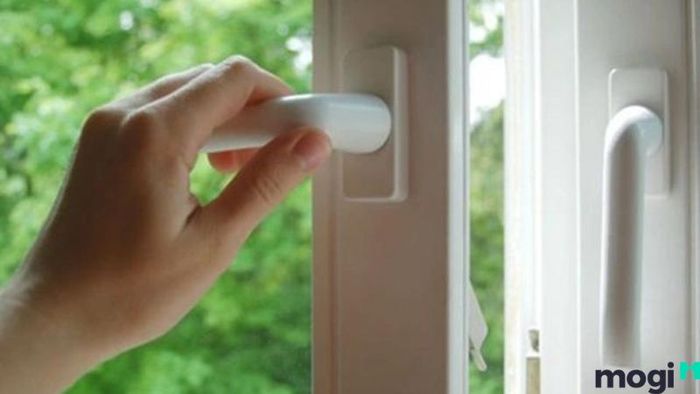 Cách Đuổi Cóc Ra Khỏi Nhà