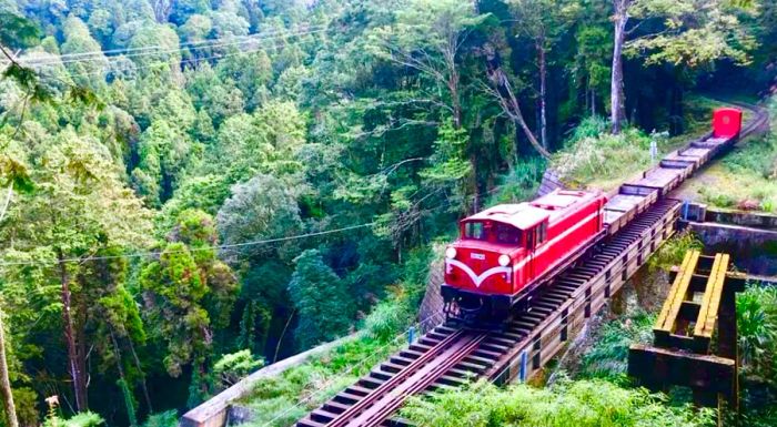 The railway was originally constructed by the Japanese government to transport Taiwan cypress timber.