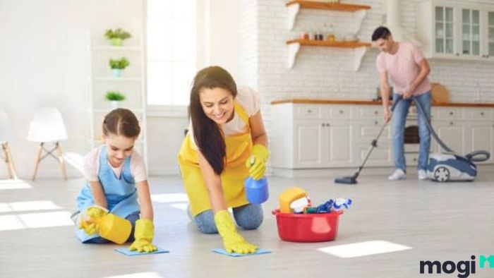 Cách Đuổi Cóc Ra Khỏi Nhà