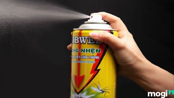 Cách Đuổi Cóc Ra Khỏi Nhà