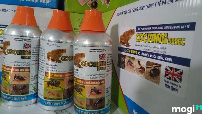 Cách Đuổi Cóc Ra Khỏi Nhà