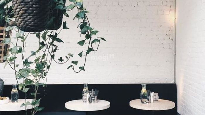 Trang trí tường quán cafe với nền tường đơn giản nhưng sang trọng