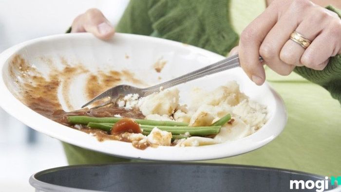 Cách Đuổi Cóc Ra Khỏi Nhà