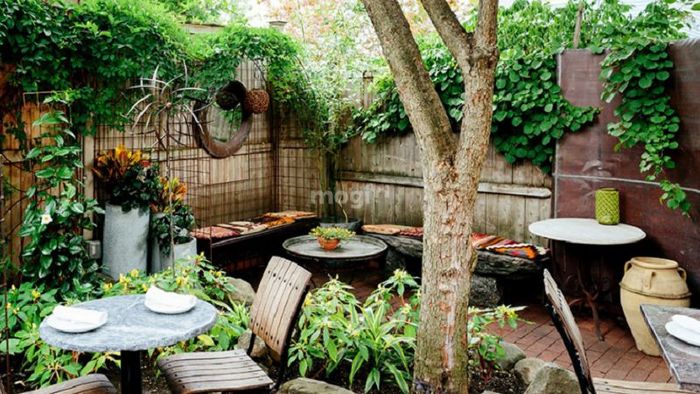 Biến tường quán cafe thành một hàng rào cây xanh