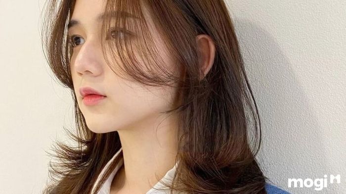 layer mái thưa