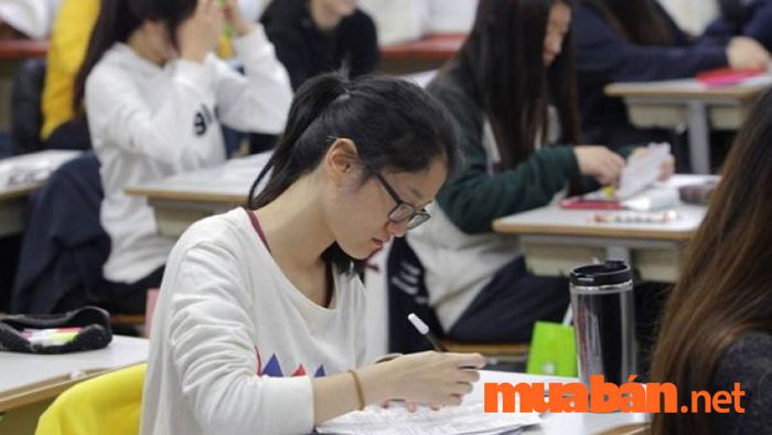 Khối thi của ngành chính trị học rất phong phú và đa dạng, đáp ứng nhu cầu của nhiều thí sinh với các tổ hợp môn khác nhau.