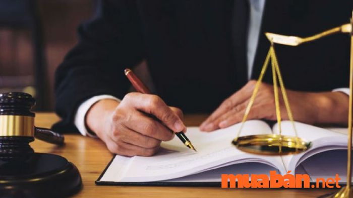 Có vô vàn cơ hội nghề nghiệp đang chờ đón bạn trong ngành chính trị học, từ các cơ quan nhà nước đến các tổ chức tư nhân