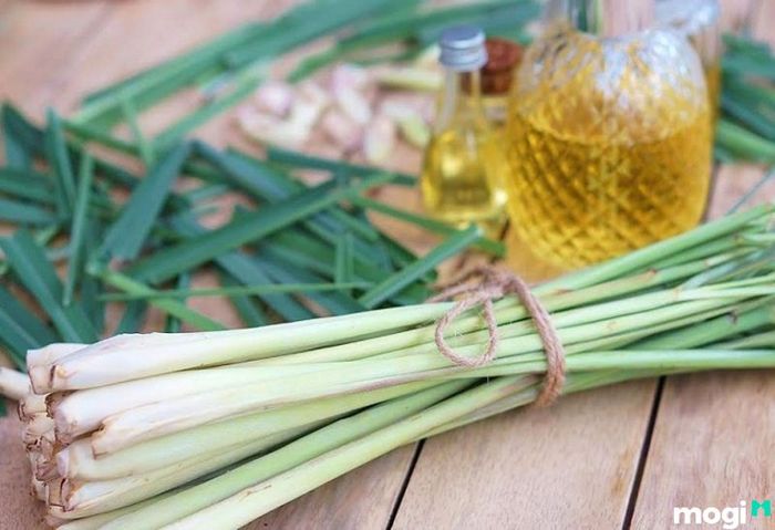 Cách xua đuổi rắn ra khỏi nhà hiệu quả
